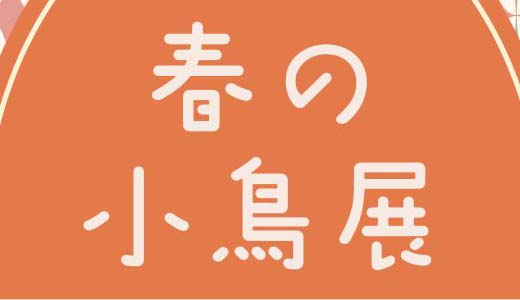 春の小鳥展（2026）